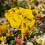 Reusable Insect Hydrations Tool Plastic Insect Waterer Bees-1 8