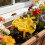 Practical Small Insect Water Dispenser Bees Drinking Water-2 7