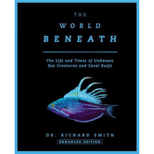 The World Beneath The Life and Times of Unknown Sea Creatures and Cora