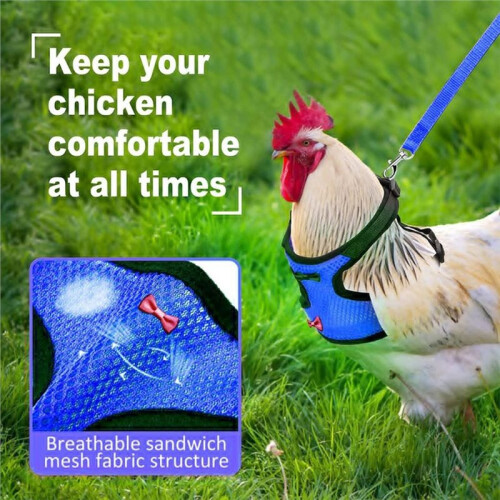 4 Pcs Adjustable Chicken Harness with Leash- 4 Styles Comfortable Hen Vest Breathable Mesh Training Harness and Leash 2