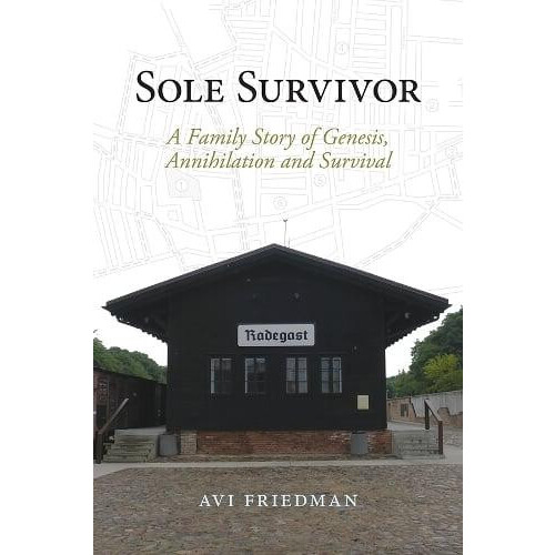 Sole Survivor by Avi Friedman Paperback Book