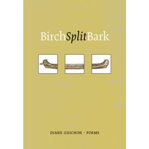 Birch Split Bark by Diane Guichon Paperback Book