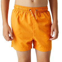 (3-4 Yrs, Persimmon) Regatta Kids Boys Skander III Elasticated Swim Swimming Shorts