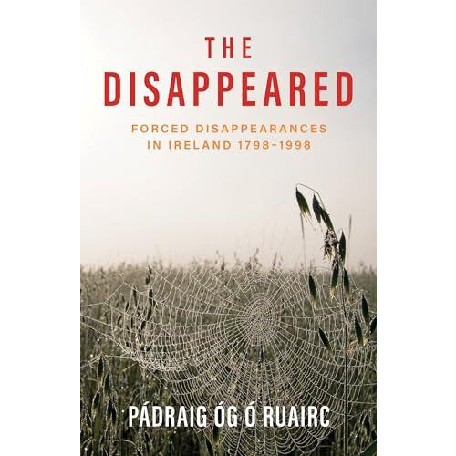 Disappeared by Padraig Og O Ruairc Paperback Book