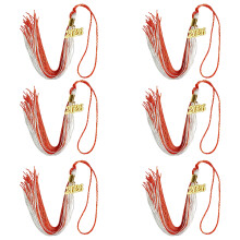 Pompons de remise de diplôme en polyester, édition-18 6 pièces