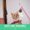 3St Kerst Kat Speelstokjes Interactief Speelgoed 8