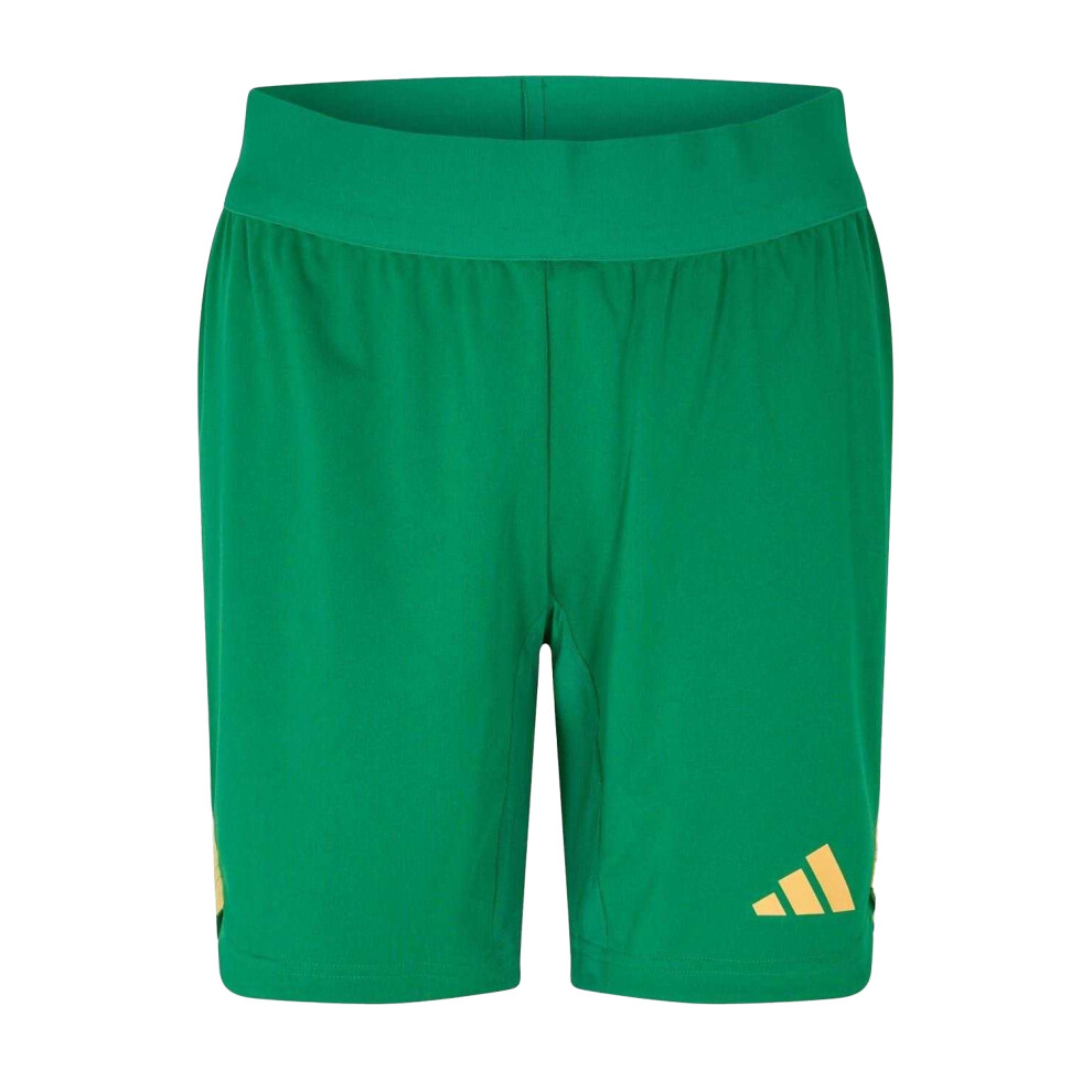 Adidas (L, Green) Unisex Adult Goalkeeper Shorts
