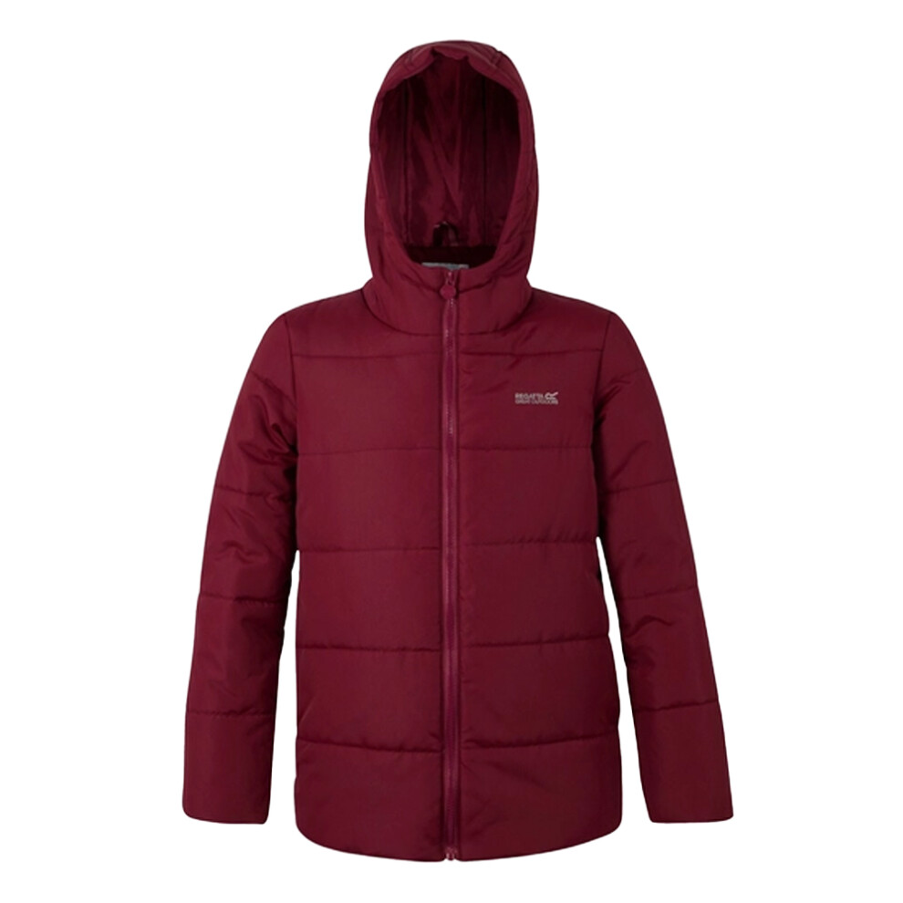 Regatta (7-8 Years, Dark Pimento) Childrens/Kids Halkner Padded Jacket