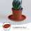 5St Onderbordjes Rood Kunststof Set 4