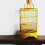3St Vogel Drinker Transparant Spatvrij Plastic Voederaccessoire 1