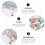 5St Plastic Haarclip Haarspeld Accessoires Kleurrijk 6