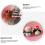 2St Kerstmis Haarclip Resin Voor Kinderfeestjes 6