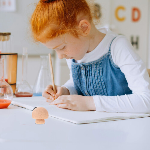3St Paddenstoel Pegs Voor Creatieve Kinderactiviteiten 2