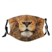 (Style 12)Animal Pattern Cotton Face Mask Washable Decorative Cover For Men Gift Women
