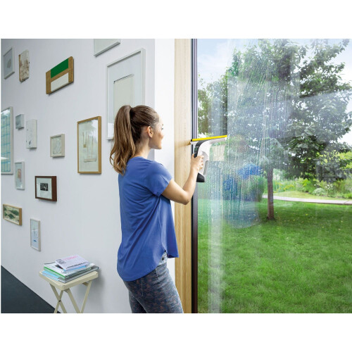 Fensterreiniger WV 6 Plus