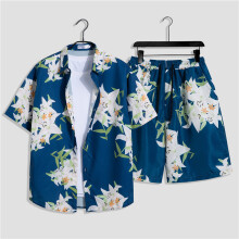 (Style H,L)Sommer Hawaii Hemd und Shorts Kombi mit Polyester Stoff Freizeit Sommer Look