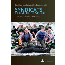Syndicats Et Dialogue Social Paperback Book