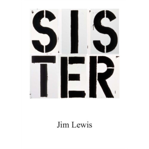 Sister by Jim Lewis Paperback Book