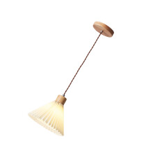 Creatief Pendellamp Met Modern Minimalistisch Design