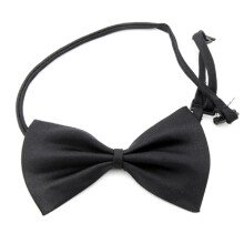 1Duurzame Zwarte Pet Necktie Met Strik En
