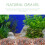 100Aquarium Rocks Wit Decoratie 6