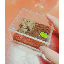 Insect Breeding Box Reptile Feeding Box, Waterproof Enclosure Enclosure for Arboreal Tarantula Sling Lizards