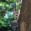 M5 1/4 Inch Scouting Trail Camera Mount Holder Adjustable Tree Stand Screw for Solar Panel Charger Night Vision 4