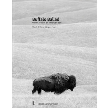 Buffalo Ballad On the Trail of an American Icon by Heidi Koch Hardcove