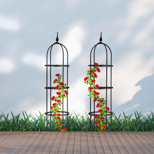 Trellis 100 cm, set van 2