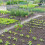 Trellis 85 cm, set van 2 5
