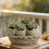 Handmade Resin Eggshell Mold For Candle Holder Gift Box Planter 6
