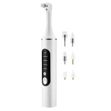 Rechargeable Electric Tooth Polisher, 5 Speed Modes Teeth Whitening Kit with 6 Interchangeable Brush Heads, Type-C Charging Oral Cleaner