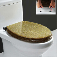 Soft Close Elongated Resin Toilet Seat, Quick Release Hinges, Gold Finish, Ergonomic Curve Design