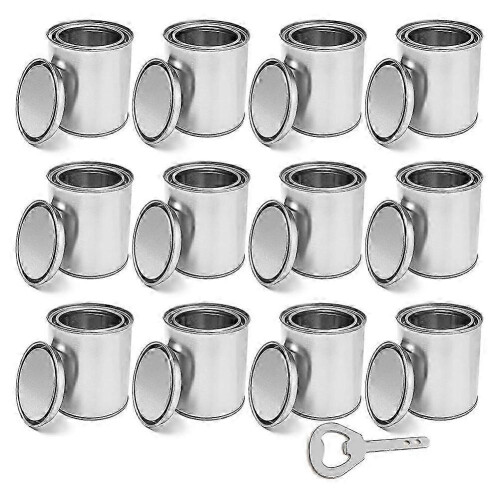 Empty Paint Cans 0.4 Quart Tin Unlined with Lids for Crafts DIY Storage