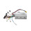 36V 19A Bürstenloser Motorcontroller, kompatibel mit JP Elektroroller 1