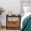 2-Tier Side Table with Metal Frame & Raised Edges 1