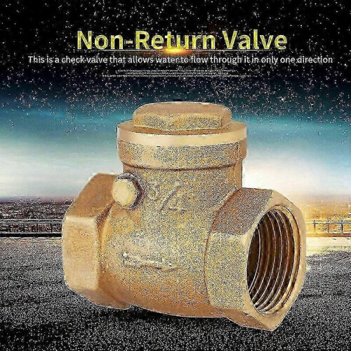 3/4 BSP Female Threaded Brass Swing Check Valve, DN20, 232 PSI, One-Way Flow Control 2