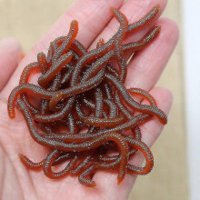 100er-Packung 8 cm 0,4 g rote, weiche Angelköder in Wurmform, künstliche Regenwurm-Köder mit Fischduft für Süßwasserangeln
