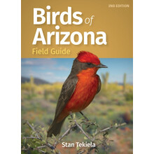 Birds of Arizona Field Guide by Stan Tekiela Paperback Book