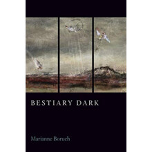 Bestiary Dark by Marianne Boruch Paperback Book