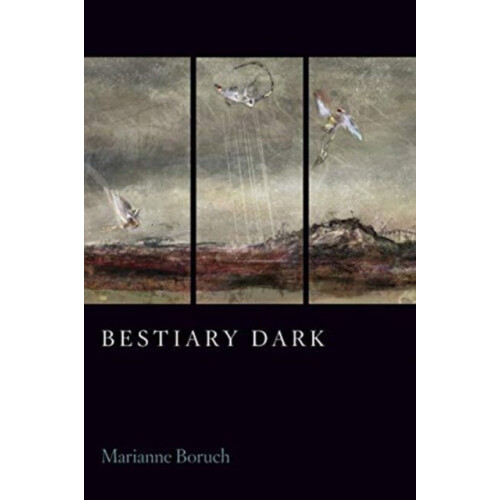 Bestiary Dark by Marianne Boruch Paperback Book
