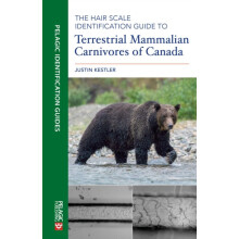 The Hair Scale Identification Guide to Terrestrial Mammalian Carnivore