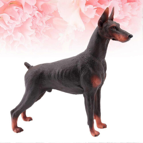 nan 2