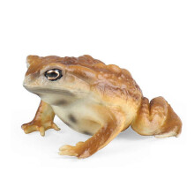 Realistische Frosch- und Krötenfigur, pädagogisches Reptilienspielzeug aus BPA-freiem Kunststoff für Kinder