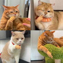 Stretchable TPR Hands Cat Toy, Hands for Cats, New Stretchable TPR Hands Cat Toy, Finger Gloves for Cats 3PCS