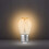 Smart Wi-Fi LED Bulb, Dimmable, E27, 1800-3000K 4