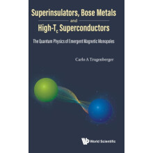 SUPERINSULATORS BOSE METALS AND HIGHTC SUPERCONDUCTORS by TRUGENBERGER