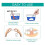 (15g) Removable False Teeth Solid Denture Glue Adhesive Teeth & Gaps Filling Tool 1