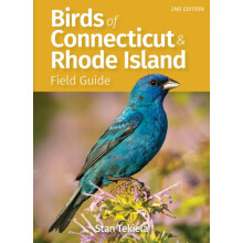 Birds of Connecticut Rhode Island Field Guide by Stan Tekiela Paperbac