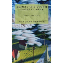 Before the Storm Takes It Away by Gaylord Brewer Paperback Book